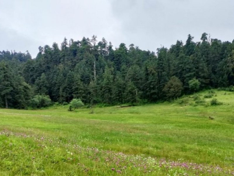 सुनसान छन् पर्यटकीय गन्तव्य
